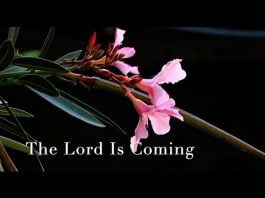 SDA HYMNAL 200 - The Lord Is Coming